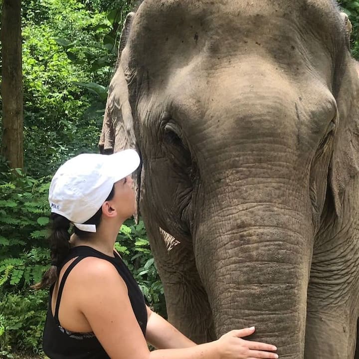 Lauren